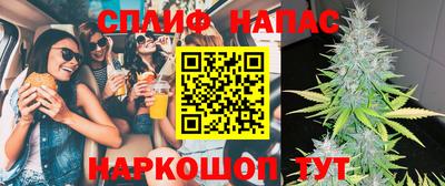 apvp Гусиноозёрск