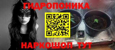 apvp Гусиноозёрск