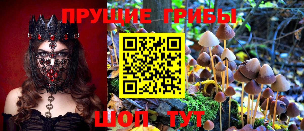 Галлюциногенные грибы прущие грибы  Вход с VPN  Надым  Галлюциногенные грибы мицелий 