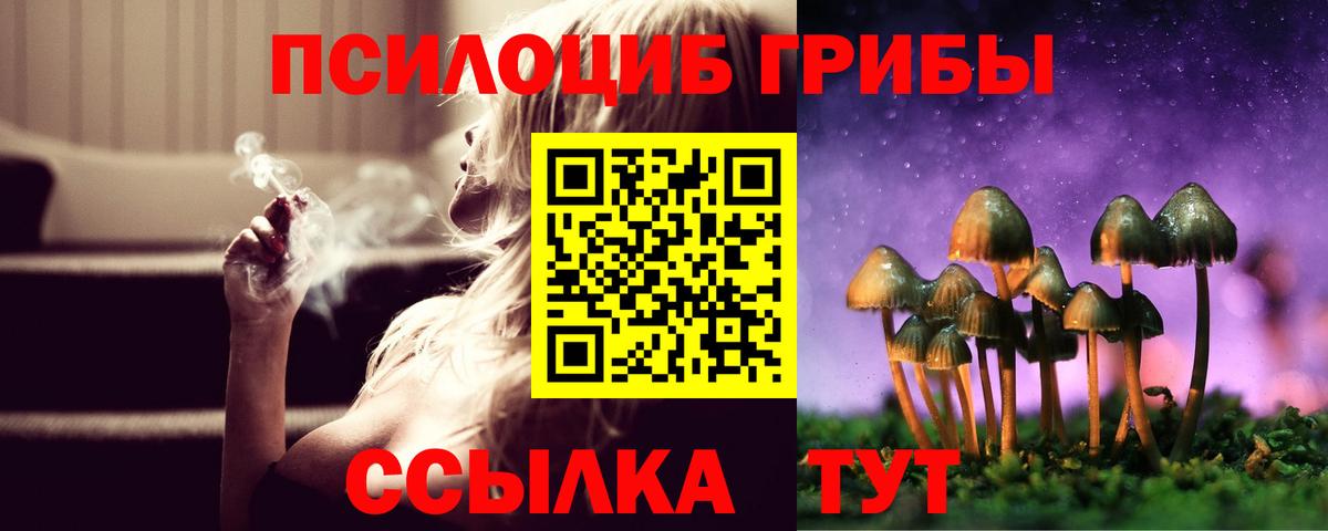 Псилоцибиновые грибы Psilocybine cubensis Надым